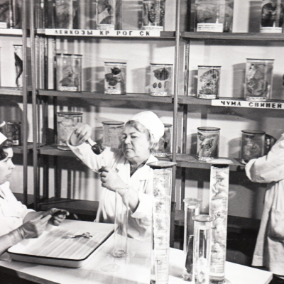 паталогоанатомический музей