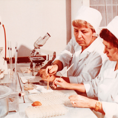 Сотрудники за работой 2