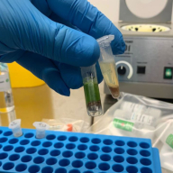 Повышение квалификации 07112025