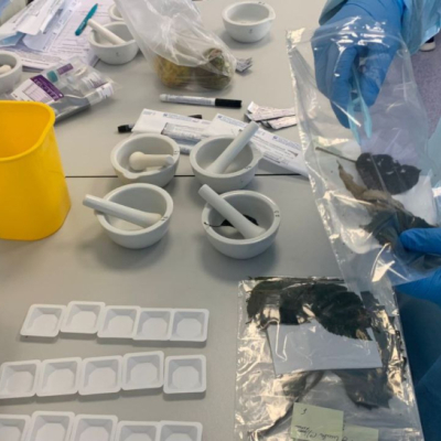 photo_2025-10-17_12-03-39