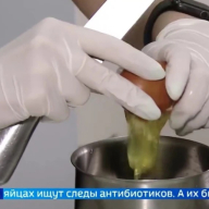 проверка продуктов